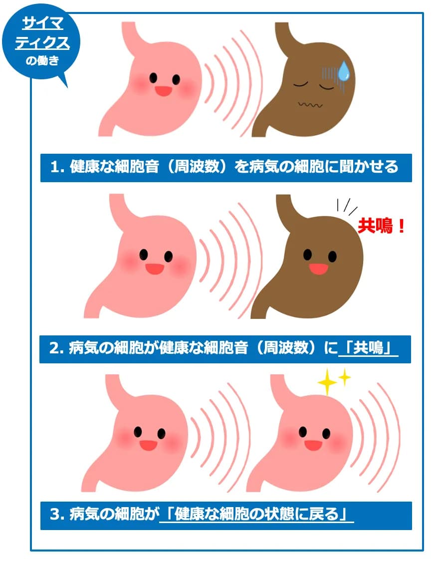 サイマティクス原理のイメージをアニメ化