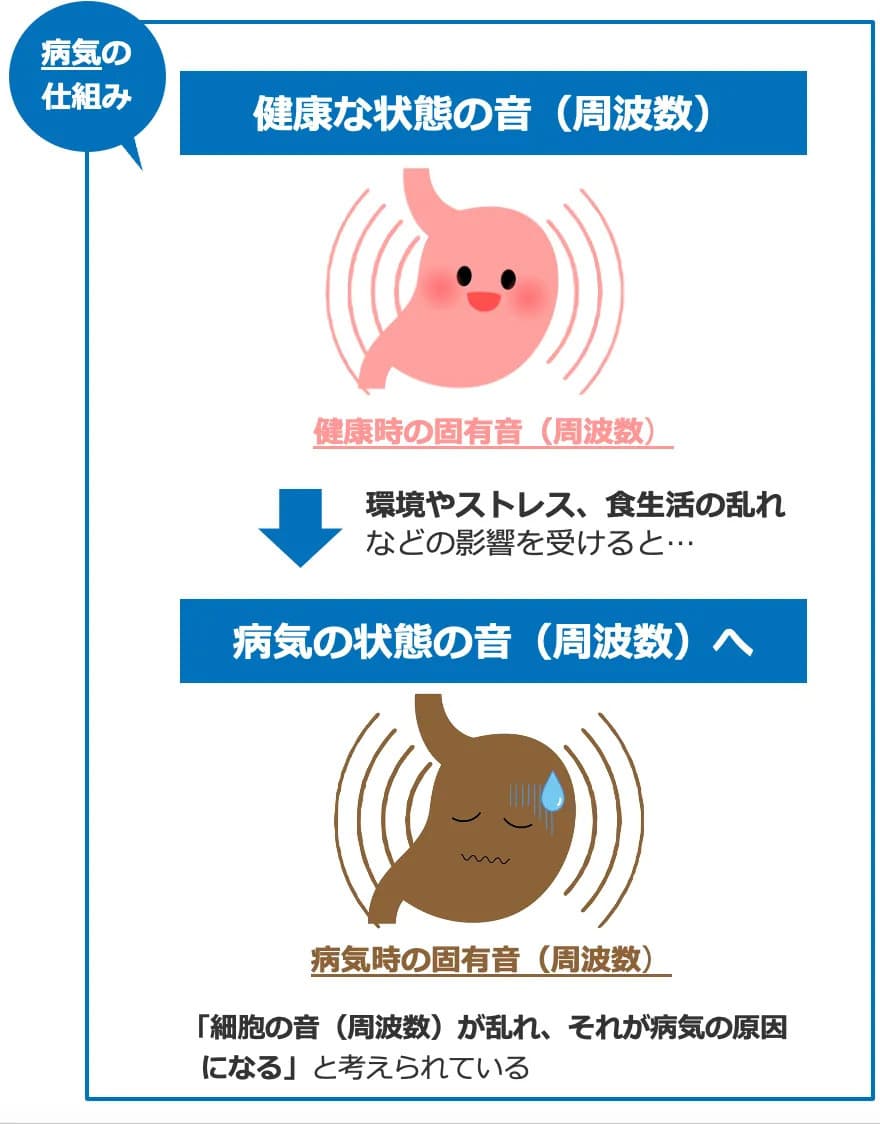 音響共鳴と周波数の関係アニメ